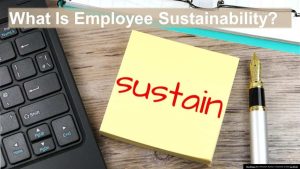 employee sustainability